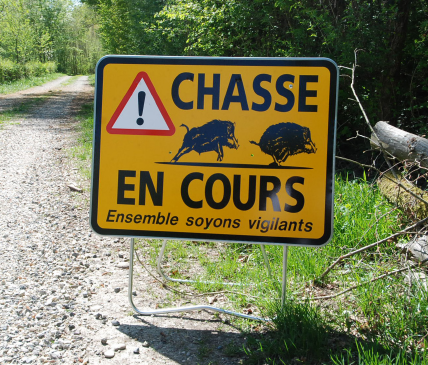 Schirrhein - Battues de la chasse militaire sur le camp d'Oberhoffen sur Moder