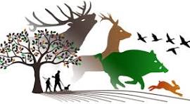 Schirrhein - 🦌 Calendrier des chasses – Saison 2026/2027